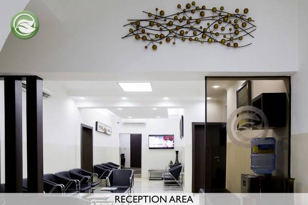 The Olive Branch Clinic